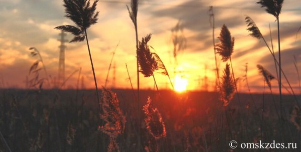 30-градусная жара возвращается в Омск 30-градусная жара возвращается в Омск