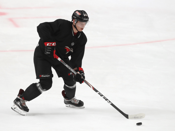 ПОДСЛУШАНО: первый лед с главным тренером (ФОТО+ВИДЕО)
ПОДСЛУШАНО: первый лед с главным тренером (ФОТО+ВИДЕО)