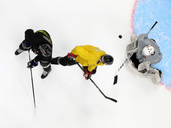 ПОДСЛУШАНО: первый лед с главным тренером (ФОТО+ВИДЕО)
ПОДСЛУШАНО: первый лед с главным тренером (ФОТО+ВИДЕО)
