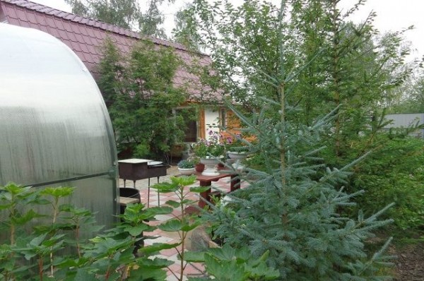 В соцсетях омские дачники пожаловались на отсутствие воды В соцсетях омские дачники пожаловались на отсутствие воды