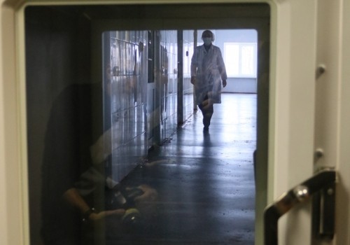 Коронавирус: актуальные хроники — 28 августа