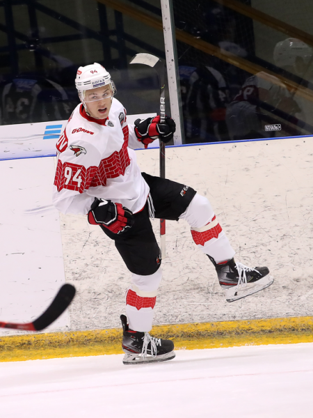 
        Полный разгром в Новогорске! Как «Авангард» одержал победу над «Динамо»
      