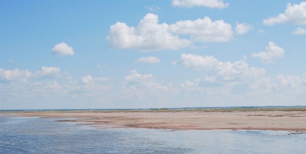 В Омской области размывает известный курорт