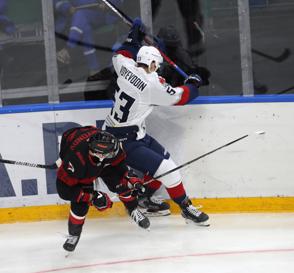 
        «Для нас важно хорошо играть в межсезонье, ведь побеждать всегда приятно». Комментарии после матча с «Торпедо»
      