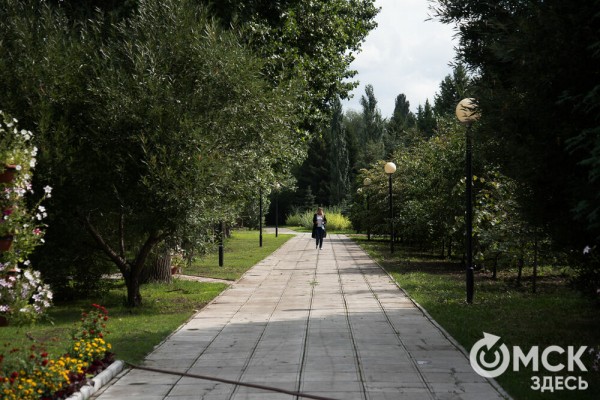 Омичам рассказали, как планируют изменить облик дендросада им. Гензе