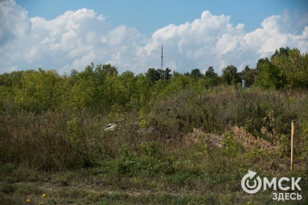 Омичам рассказали, как планируют изменить облик дендросада им. Гензе