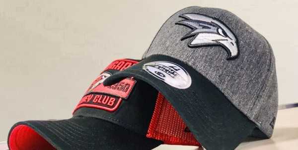 "Омские ястребы" вернулись к полноценным тренировкам