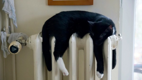 Во время сильной жары омичам внезапно включили отопление 