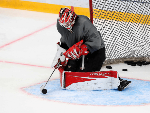 
        Новички «Авангарда». Иржи Секач (ФОТО+ВИДЕО)
      