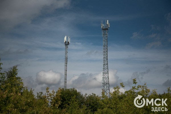 Омичам рассказали, как планируют изменить облик дендросада им. Гензе