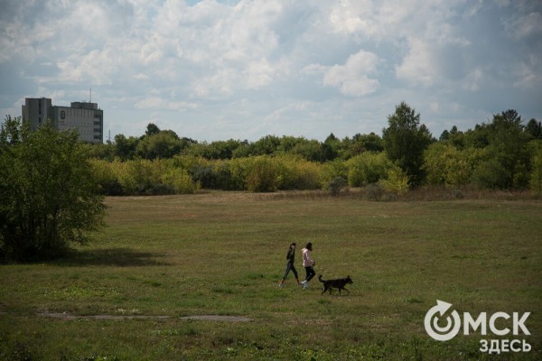 Омичам рассказали, как планируют изменить облик дендросада им. Гензе