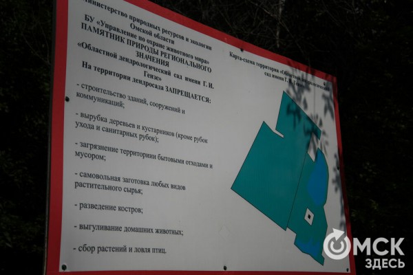 Омичам рассказали, как планируют изменить облик дендросада им. Гензе