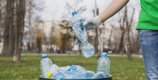 Омичи могут поучаствовать в проекте Гринпис