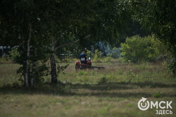 Омичам рассказали, как планируют изменить облик дендросада им. Гензе