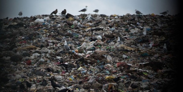 На горящей свалке в Дружино установят видеокамеры