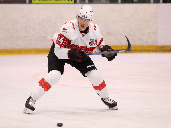 
        Полный разгром в Новогорске! Как «Авангард» одержал победу над «Динамо»
      