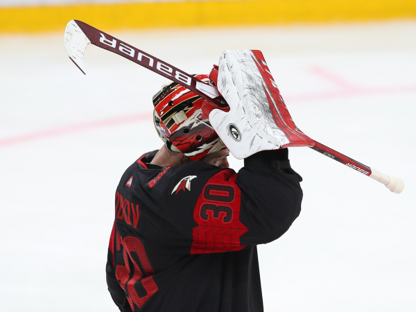 
        Вторая волевая победа в Питере! Как «Авангард» разобрался с «Северсталью»
      