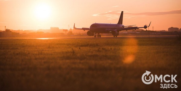 Омичей начинают возить в Турцию через Ростов-на-Дону Омичей начинают возить в Турцию через Ростов-на-Дону