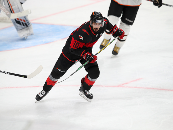 
        «У нас хороший боевой потенциал». Жак Клутье вернулся в «Авангард» (ВИДЕО)
      