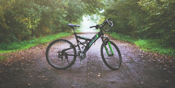 В Омске утвердили концепцию велодвижения