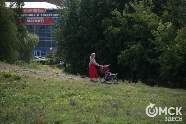 Омичам рассказали, как планируют изменить облик дендросада им. Гензе