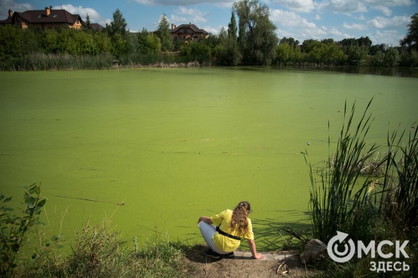 Омичам рассказали, как планируют изменить облик дендросада им. Гензе
