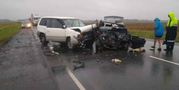 В Омской области в результате ДТП погибли два человека