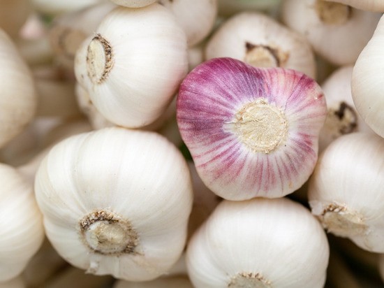 Названы лучшие продукты для предотвращения рака Названы лучшие продукты для предотвращения рака