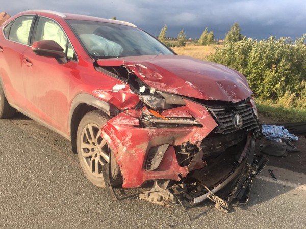 ДТП в Омской области унесло жизни двух человек