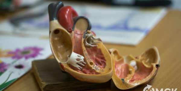 Более 20 лекарств могут получить бесплатно омичи после инсульта и инфаркта