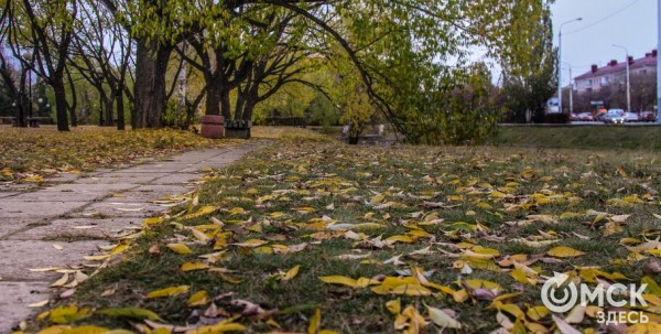 В Омской области перед потеплением ожидаются заморозки до -5 градусов