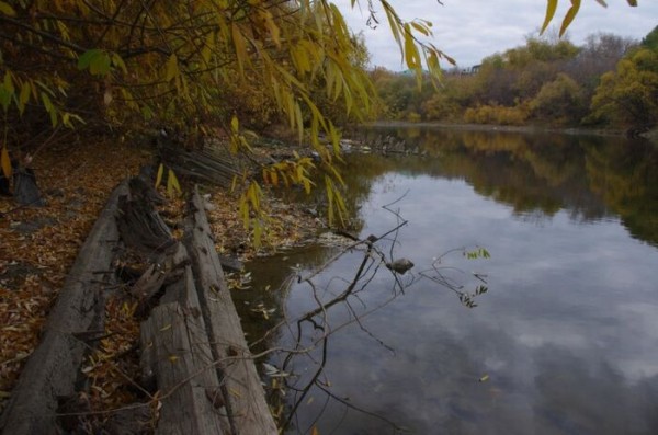 Омич заявил, что при благоустройстве набережной могут повредить столетнее судно