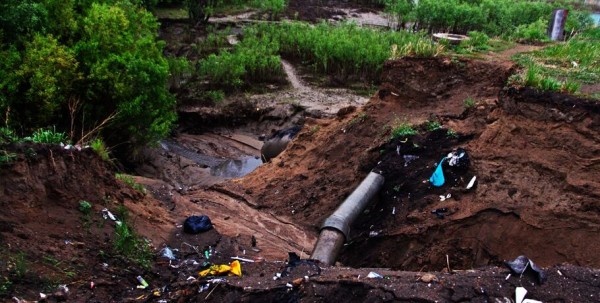 "Чистые игры" в Омске всё-таки состоятся