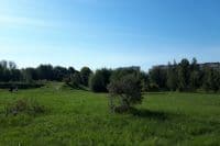 Минприроды объявило дату повторных слушаний по омскому дендросаду