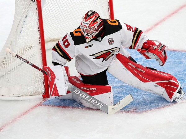 
        Два очка Емелина принесли «Авангарду» победу над «Нефтехимиком»
      