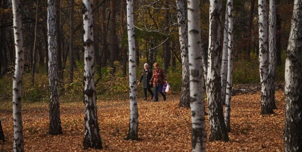 Короткое тепло в Омске закончится ночными заморозками