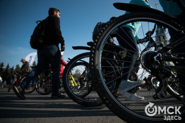 Омский велотрек может "дорасти" до академии велосипедного спорта