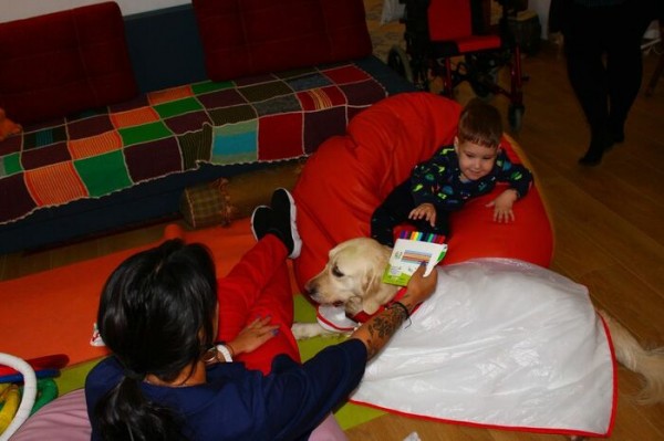 Стихи и собаки: как поэзия помогает омскому канисцентру