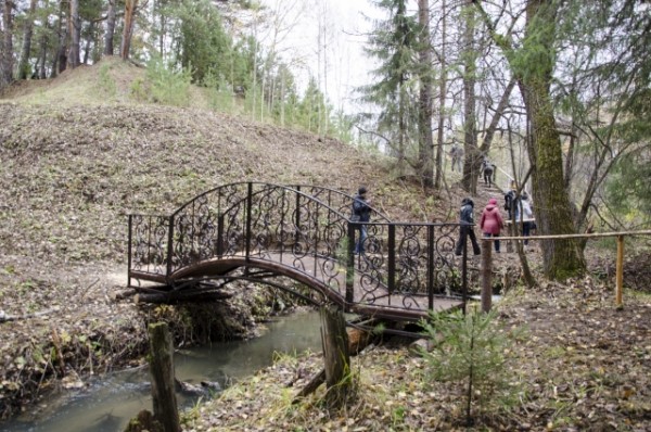 На Тарских увалах цветут орхидеи и прилетают из Африки перелётные бабочки