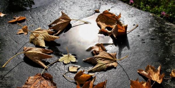 Тёплый ветер и плюсовая температура порадуют омичей в выходные