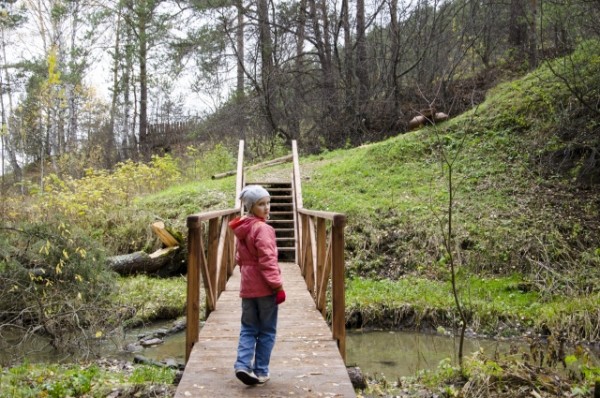 На Тарских увалах цветут орхидеи и прилетают из Африки перелётные бабочки