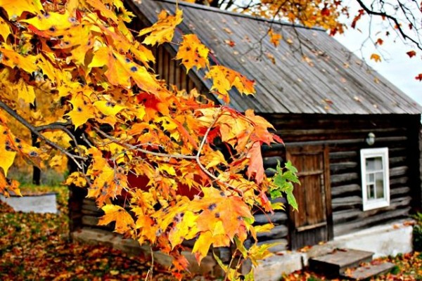 К выходным в Омской области ожидается потепление