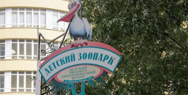 Раскованная гуанако переехала в омский зоопарк Раскованная гуанако переехала в омский зоопарк