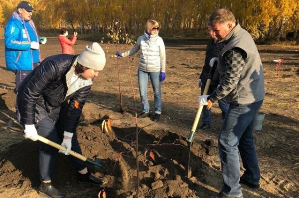 На месте будущего жилого комплекса в Омске заложили сквер На месте будущего жилого комплекса в Омске заложили сквер