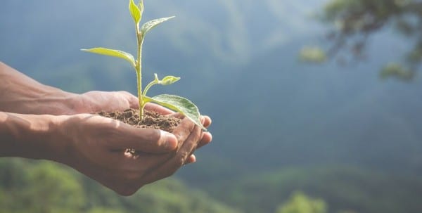 Омичи получили грант на переработку пластика в розетки и выключатели