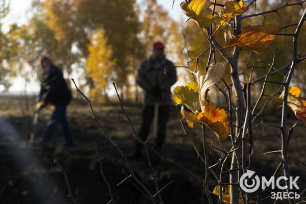 В Омске появится "Зелёная река"