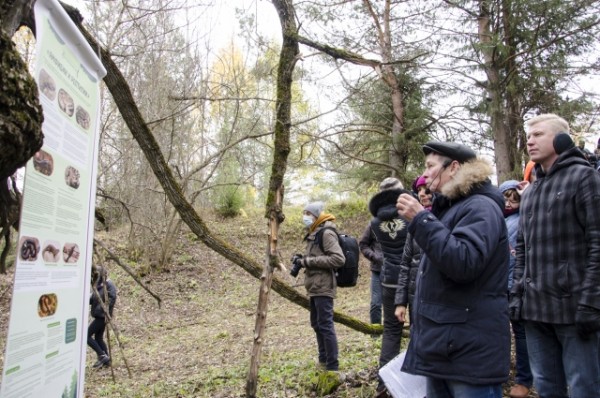 На Тарских увалах цветут орхидеи и прилетают из Африки перелётные бабочки