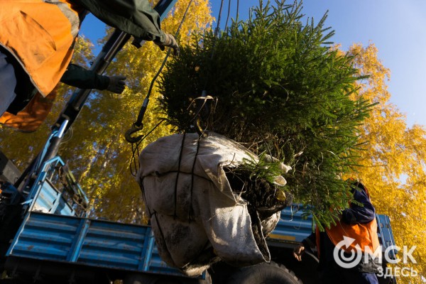 В Омске появится "Зелёная река"