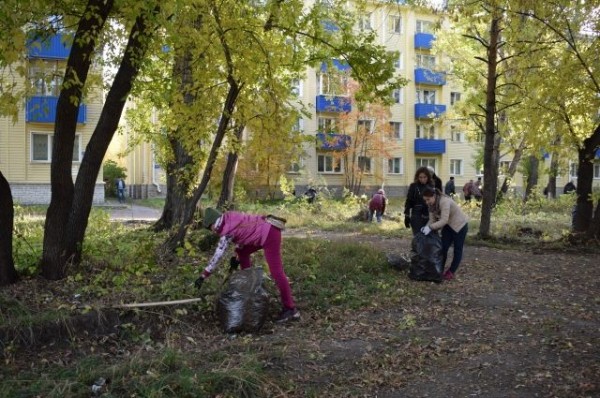 Отходы после субботника регоператор примет у муниципалитета бесплатно