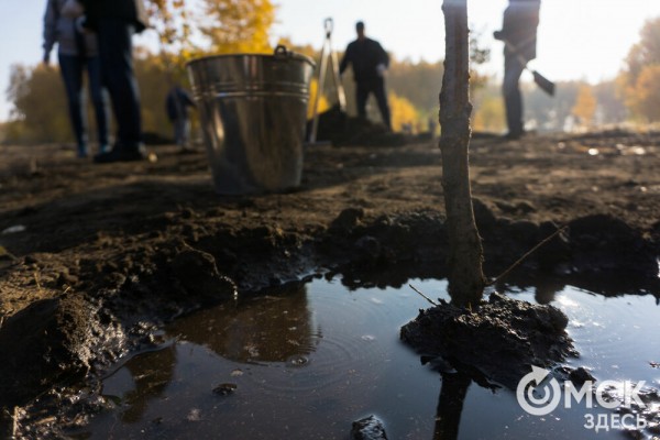 В Омске появится "Зелёная река"